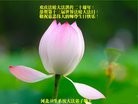 Published on 5/11/2012 ֹ,ҵ󷨵ӹطִ󷨺鴫ʮ - ִ
