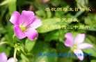 Published on 5/14/2012 ֹ,½󷨵Ӻʦ𻪵߷ִ(104) - ִ
