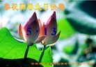 Published on 5/14/2012 ֹ,½󷨵Ӻʦ𻪵߷ִ(104) - ִ
