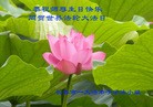 Published on 5/14/2012 ֹ,½󷨵Ӻʦ𻪵߷ִ(104) - ִ
