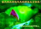 Published on 5/14/2012 ֹ,½󷨵Ӻʦ𻪵߷ִ(104) - ִ

