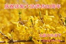Published on 5/14/2012 ֹ,½󷨵Ӻʦ𻪵߷ִ(89) - ִ
