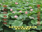 Published on 5/14/2012 ֹ,½󷨵Ӻʦ𻪵߷ִ(89) - ִ
