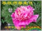Published on 5/11/2012 ֹ,ϵ󷨵ӹطִ󷨺鴫ʮ - ִ
