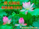 Published on 5/11/2012 ֹ,ҵ󷨵ӹطִ󷨺鴫ʮ - ִ
