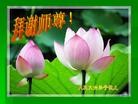 Published on 5/14/2012 ֹ,½󷨵Ӻʦ𻪵߷ִ(89) - ִ
