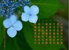 Published on 5/14/2012 ֹ,½󷨵Ӻʦ𻪵߷ִ(89) - ִ
