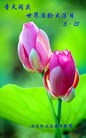 Published on 5/14/2012 ֹ,½󷨵Ӻʦ𻪵߷ִ(89) - ִ
