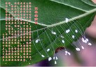 Published on 5/14/2012 ֹ,½󷨵Ӻʦ𻪵߷ִ(89) - ִ
