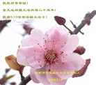 Published on 5/14/2012 ֹ,½󷨵Ӻʦ𻪵߷ִ(89) - ִ
