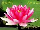 Published on 5/14/2012 ֹ,½󷨵Ӻʦ𻪵߷ִ(176) - ִ
