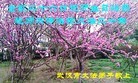 Published on 5/14/2012 ֹ,½󷨵Ӻʦ𻪵߷ִ(68) - ִ
