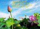 ֹ,󷨵ӹطִ󷨺鴫ʮ - ִ
