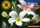 Published on 5/14/2012 ֹ,½󷨵Ӻʦ𻪵߷ִ(68) - ִ
