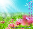 Published on 5/14/2012 ֹ,½󷨵Ӻʦ𻪵߷ִ(68) - ִ
