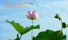 Published on 5/14/2012 ֹ,½󷨵Ӻʦ𻪵߷ִ(68) - ִ
