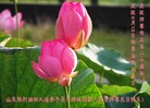 Published on 5/11/2012 ֹ,ҵ󷨵ӹطִ󷨺鴫ʮ - ִ
