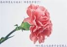 Published on 5/14/2012 ֹ,½󷨵Ӻʦ𻪵߷ִ(144) - ִ
