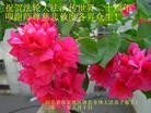Published on 5/14/2012 ֹ,½󷨵Ӻʦ𻪵߷ִ(120) - ִ

