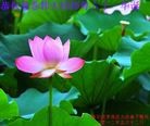 Published on 5/14/2012 ֹ,½󷨵Ӻʦ𻪵߷ִ(125) - ִ
