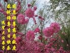 Published on 5/14/2012 ֹ,½󷨵Ӻʦ𻪵߷ִ(125) - ִ
