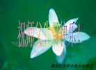 Published on 5/14/2012 ֹ,½󷨵Ӻʦ𻪵߷ִ(125) - ִ
