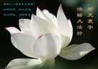 Published on 5/11/2012 ֹ,ϵ󷨵ӹطִ󷨺鴫ʮ - ִ
