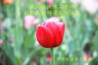 Published on 5/14/2012 ֹ,½󷨵Ӻʦ𻪵߷ִ(110) - ִ
