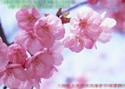 Published on 5/14/2012 ֹ,ҵ󷨵Ӻʦ𻪵߷ִ - ִ
