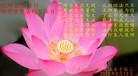 Published on 5/11/2012 ֹ,ϵ󷨵ӹطִ󷨺鴫ʮ - ִ
