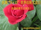 Published on 5/11/2012 法轮功,乡村大法弟子恭贺法轮大法洪传二十周年 - 法轮大法明慧网
