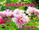 Published on 5/11/2012 ֹ,ؿףʦ𻪵ͬ513 - ִ
