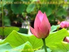 Published on 5/11/2012 ֹ,󷨵ӹطִ󷨺鴫ʮ - ִ
