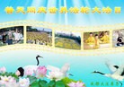 Published on 5/11/2012 ֹ,ϵ󷨵ӹطִ󷨺鴫ʮ - ִ
