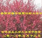 Published on 5/11/2012 ֹ,ϵͳ󷨵ӹطִ󷨺鴫ʮ - ִ

