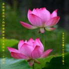 Published on 5/12/2012 ֹ,½󷨵ӹش󷨺鴫ʮ(122) - ִ
