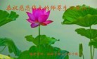 ֹ,󷨵ӹطִ󷨺鴫ʮ - ִ
