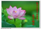 Published on 5/11/2012 ֹ,󷨵ӹطִ󷨺鴫ʮ - ִ
