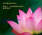 Published on 5/11/2012 ֹ,ϵ󷨵ӹطִ󷨺鴫ʮ - ִ
