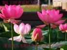 Published on 5/11/2012 ֹ,ϵ󷨵ӹطִ󷨺鴫ʮ - ִ
