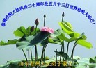 ֹ,󷨵ӹطִ󷨺鴫ʮ - ִ
