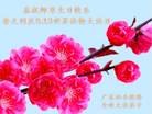 Published on 5/11/2012 ֹ,ϵ󷨵ӹطִ󷨺鴫ʮ - ִ
