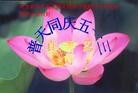 Published on 5/11/2012 ֹ,󷨵ӹطִ󷨺鴫ʮ - ִ
