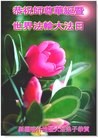 ֹ,½󷨵ӹʦ𻪵߷ִ(29)
