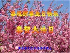 ֹ,󷨵ӹʦ𻪵編ִգ15
