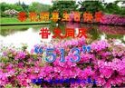 ֹ,󷨵ӹʦ𻪵編ִգ16
