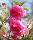 ֹ,󷨵ӹʦ𻪵編ִգ16
