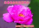 ֹ,Сӹʦ𻪵編ִգ18
