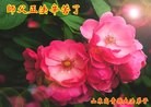 ֹ,ɽ󷨵ӹʦ𻪵編ִգ16
