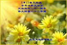 Published on 5/13/2013 法轮功,大庆大法弟子恭贺师尊华诞暨世界法轮大法日(15条)
